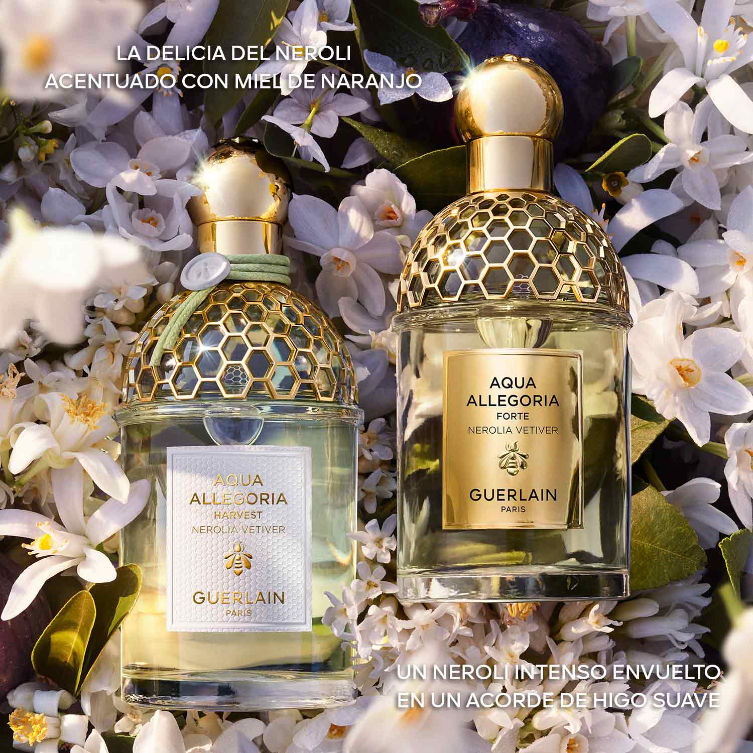 AQUA ALLEGORIA HARVEST EAU DE TOILETTE NEROLIA VETIVER